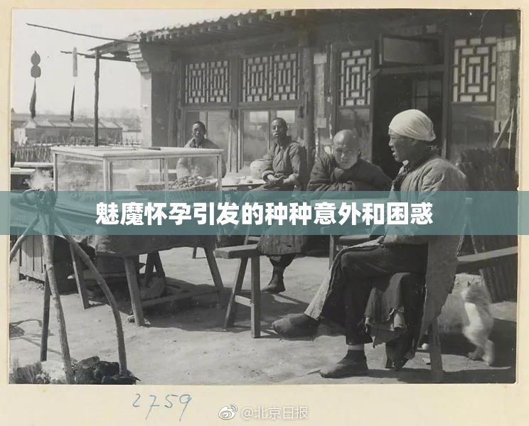 魅魔怀孕引发的种种意外和困惑