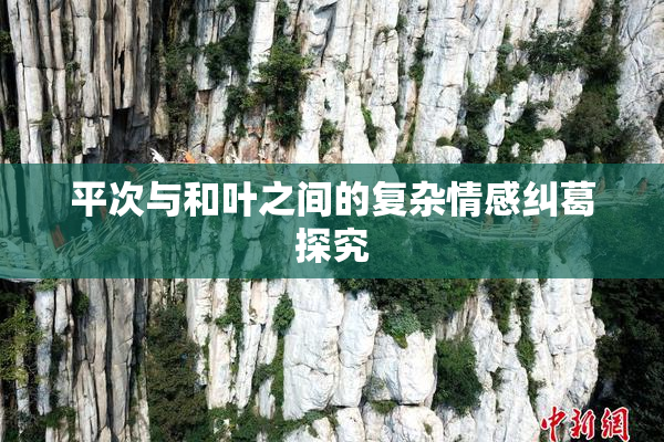 平次与和叶之间的复杂情感纠葛探究