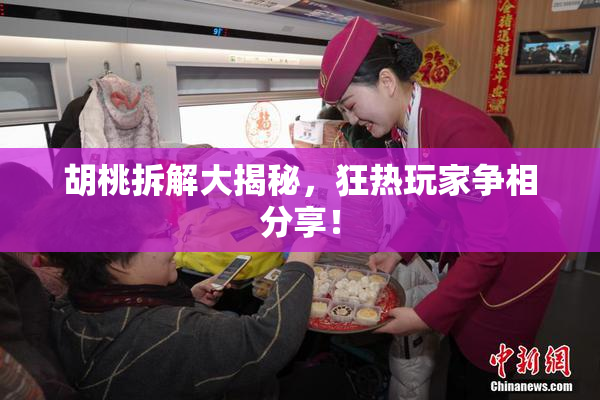 胡桃拆解大揭秘，狂热玩家争相分享！