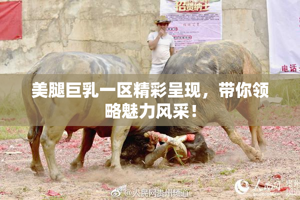 美腿巨乳一区精彩呈现，带你领略魅力风采！
