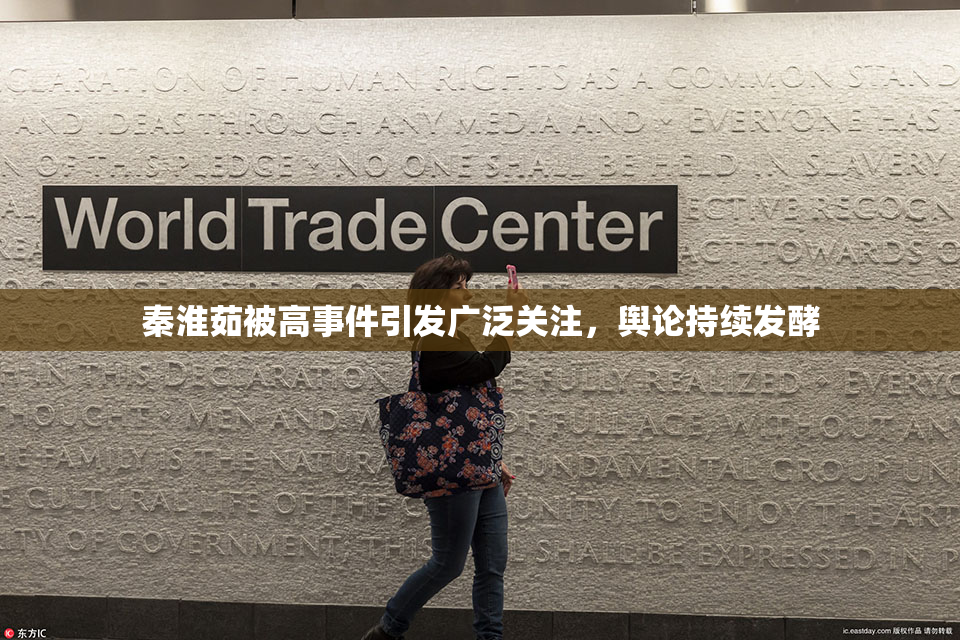 秦淮茹被高事件引发广泛关注，舆论持续发酵