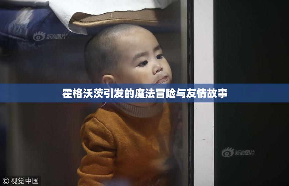 霍格沃茨引发的魔法冒险与友情故事