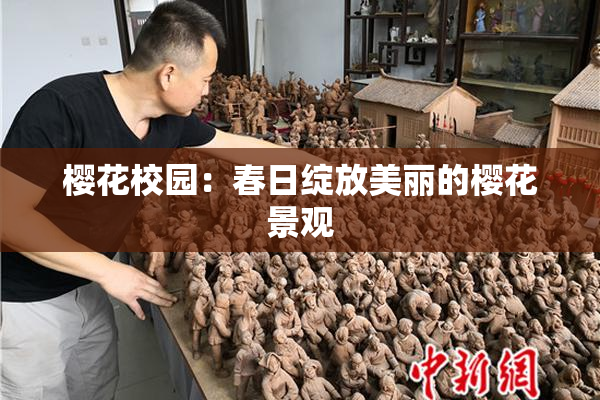 樱花校园：春日绽放美丽的樱花景观
