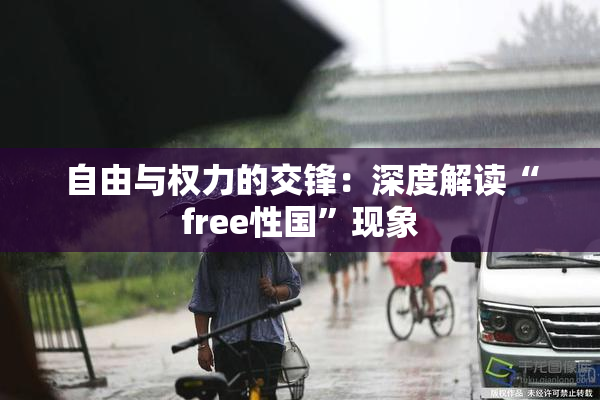 自由与权力的交锋：深度解读“free性国”现象