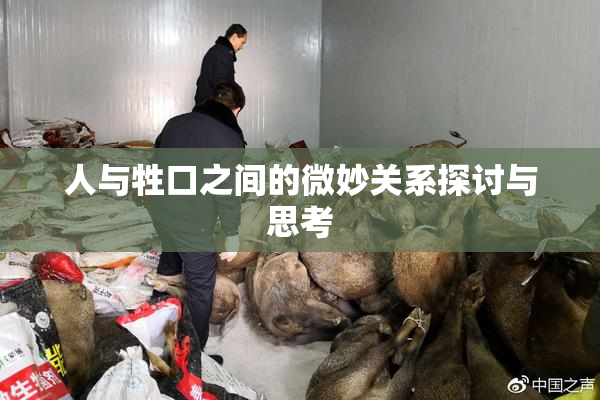 人与牲口之间的微妙关系探讨与思考