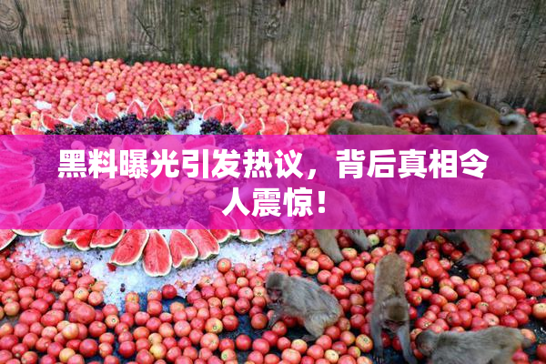 黑料曝光引发热议，背后真相令人震惊！