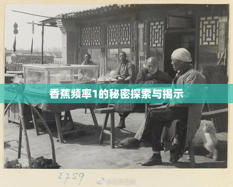 香蕉频率1的秘密探索与揭示