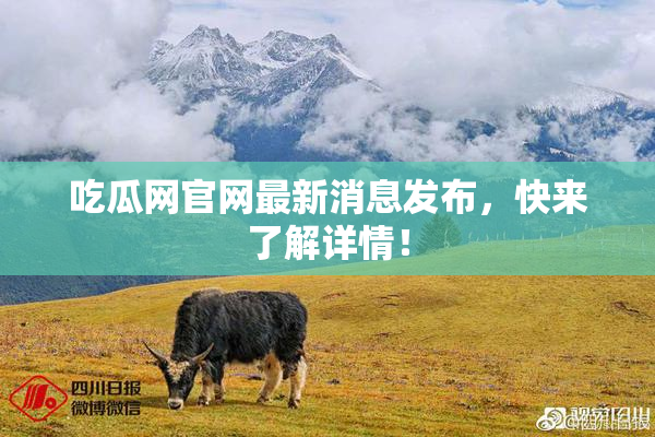 吃瓜网官网最新消息发布，快来了解详情！