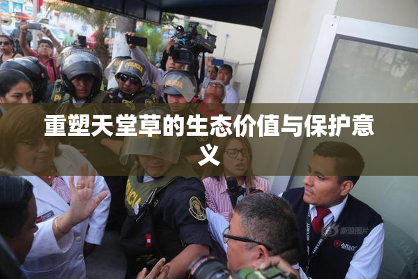 重塑天堂草的生态价值与保护意义