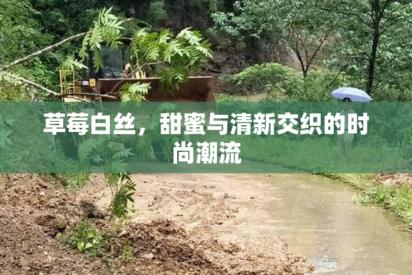 草莓白丝，甜蜜与清新交织的时尚潮流