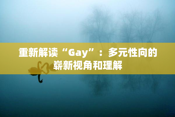 重新解读“Gay”：多元性向的崭新视角和理解