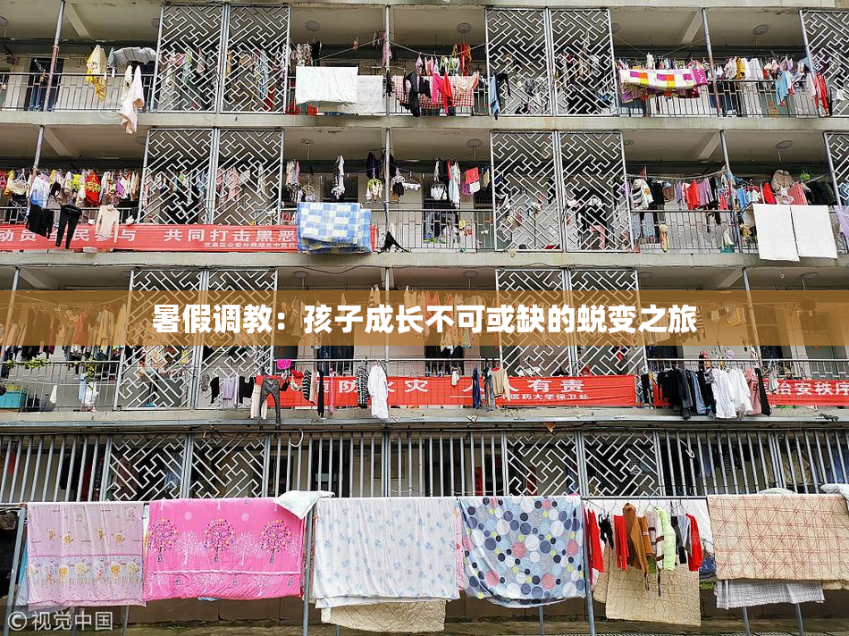 暑假调教：孩子成长不可或缺的蜕变之旅
