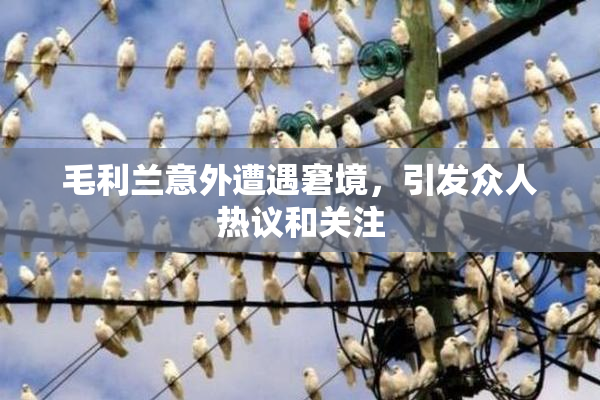 毛利兰意外遭遇窘境，引发众人热议和关注