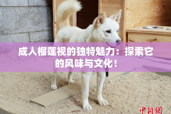 成人榴莲视的独特魅力：探索它的风味与文化！