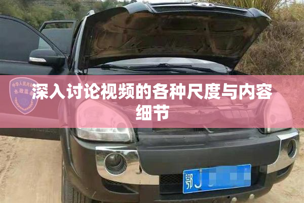 深入讨论视频的各种尺度与内容细节