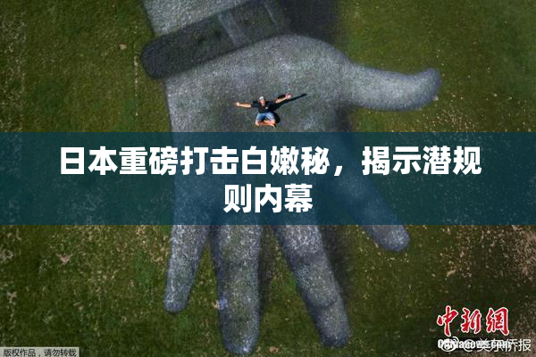 日本重磅打击白嫩秘，揭示潜规则内幕