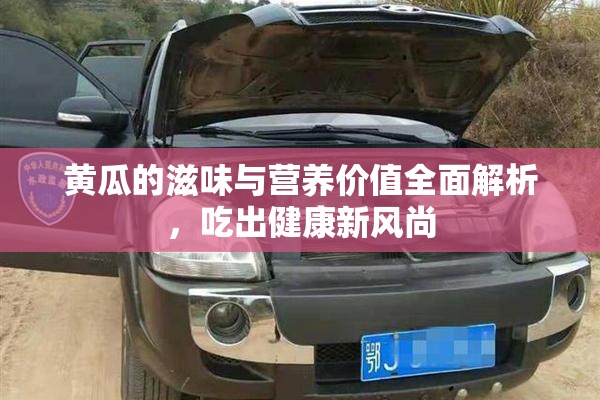 黄瓜的滋味与营养价值全面解析，吃出健康新风尚