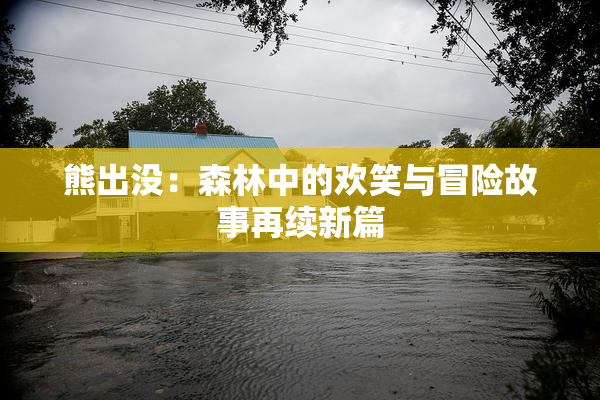 熊出没：森林中的欢笑与冒险故事再续新篇