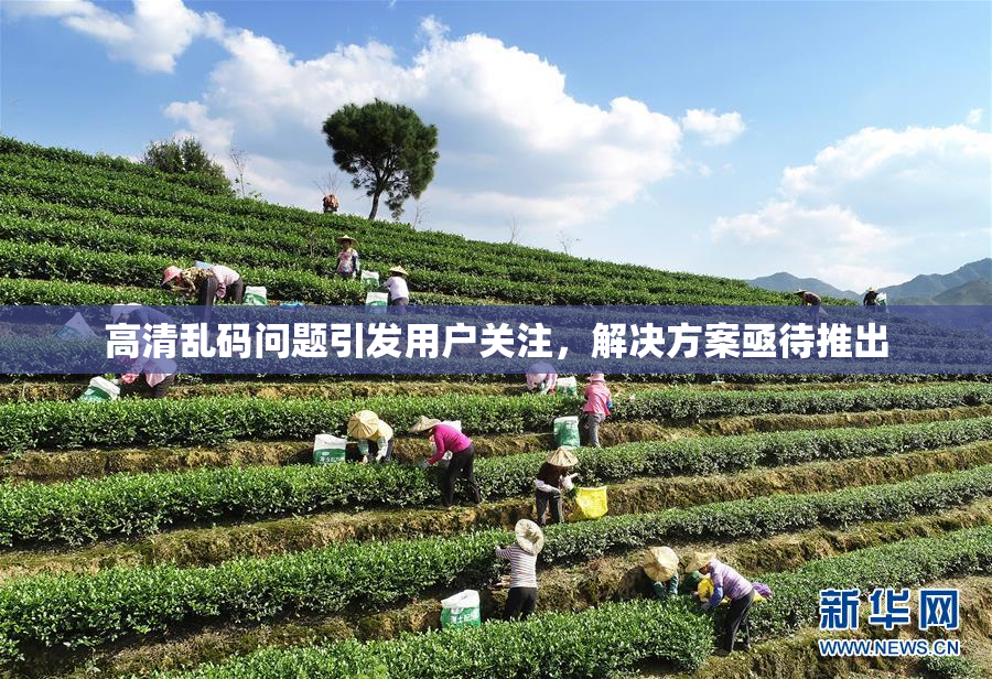 高清乱码问题引发用户关注，解决方案亟待推出