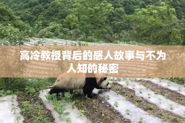 高冷教授背后的感人故事与不为人知的秘密