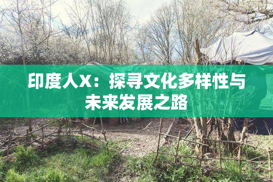 印度人X：探寻文化多样性与未来发展之路