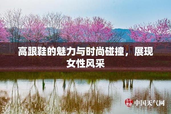 高跟鞋的魅力与时尚碰撞，展现女性风采