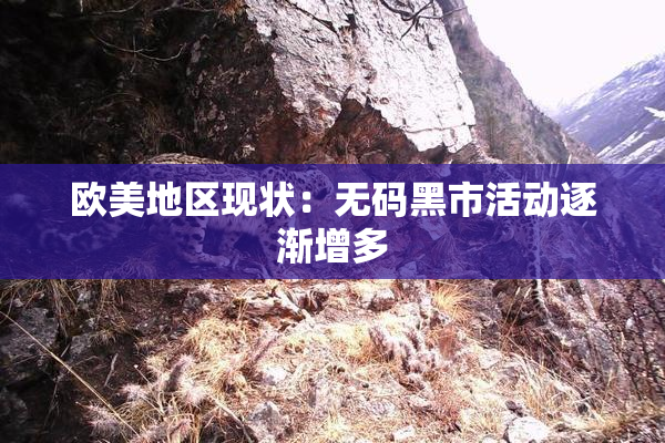 欧美地区现状：无码黑市活动逐渐增多