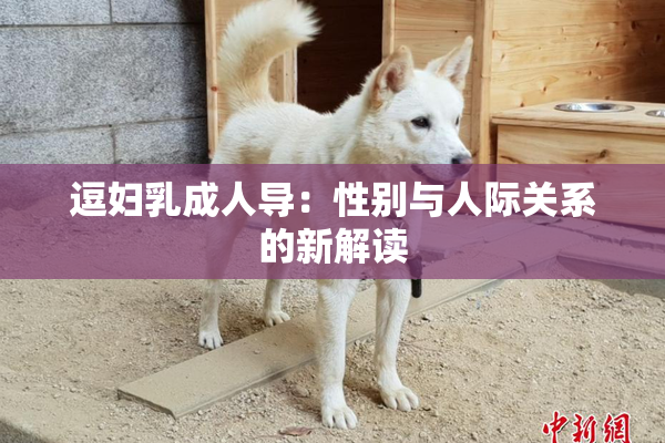 逗妇乳成人导：性别与人际关系的新解读