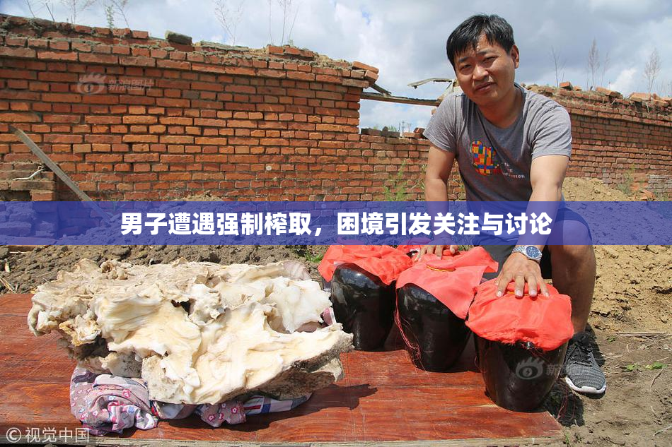 男子遭遇强制榨取，困境引发关注与讨论