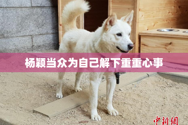 杨颖当众为自己解下重重心事