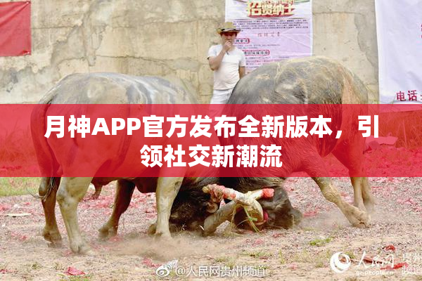 月神APP官方发布全新版本，引领社交新潮流