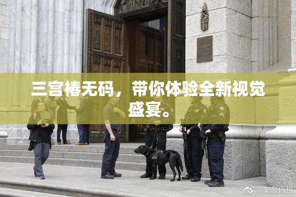 三宫椿无码，带你体验全新视觉盛宴。