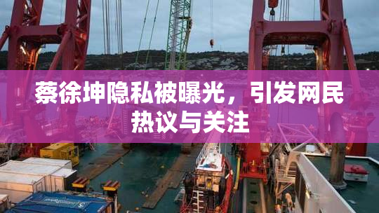 蔡徐坤隐私被曝光，引发网民热议与关注