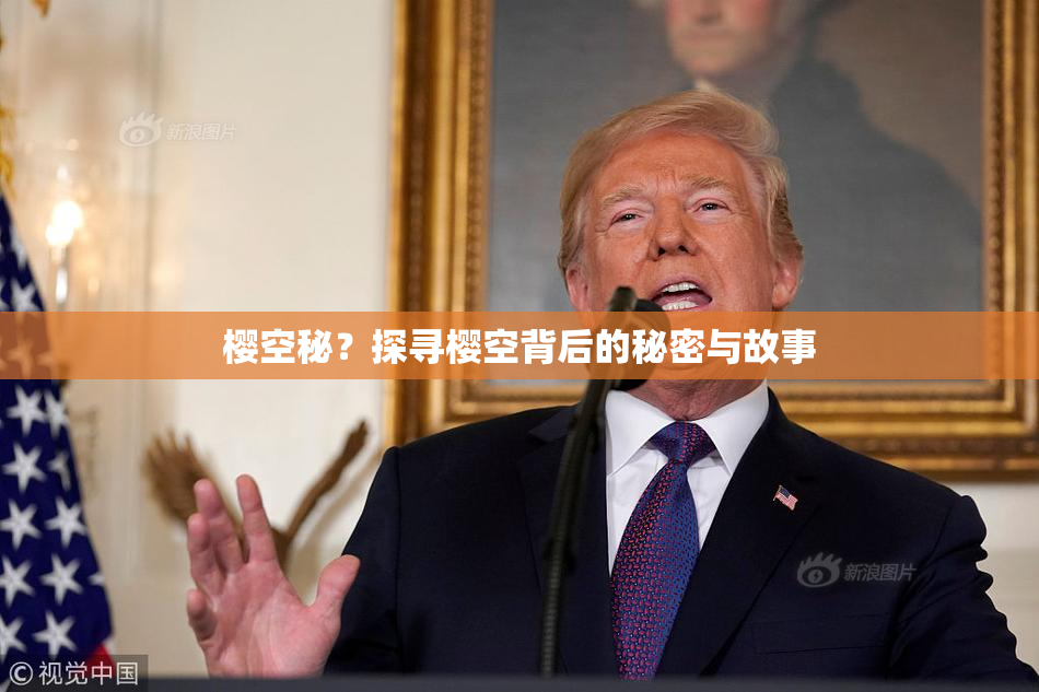 樱空秘？探寻樱空背后的秘密与故事