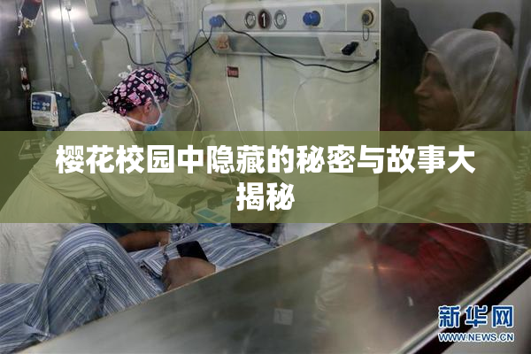 樱花校园中隐藏的秘密与故事大揭秘