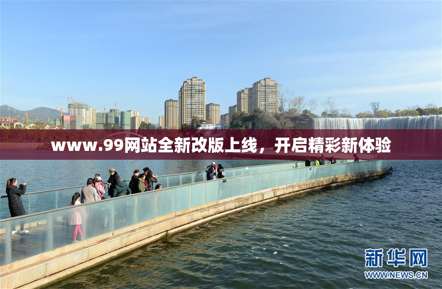 www.99网站全新改版上线，开启精彩新体验