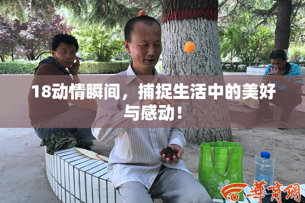 18动情瞬间，捕捉生活中的美好与感动！