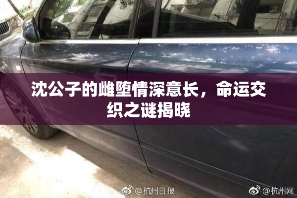 沈公子的雌堕情深意长，命运交织之谜揭晓
