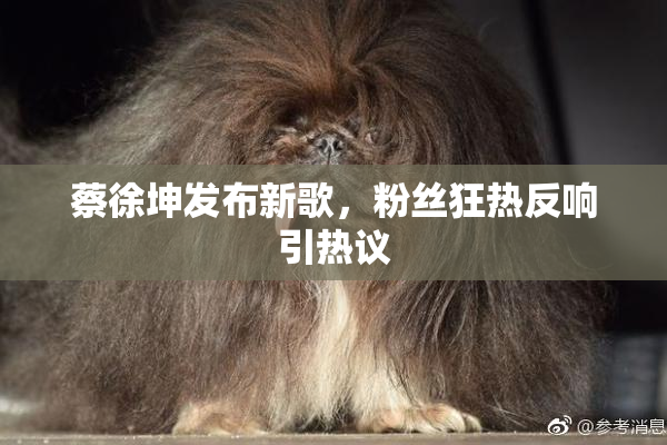 蔡徐坤发布新歌，粉丝狂热反响引热议