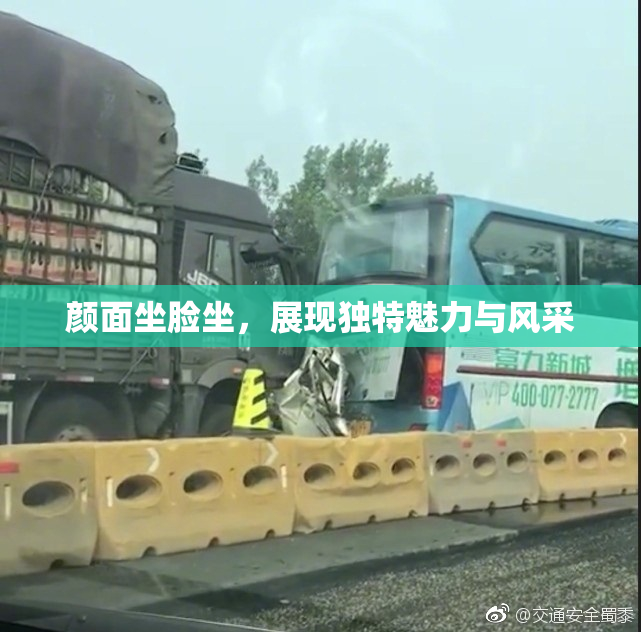 颜面坐脸坐，展现独特魅力与风采