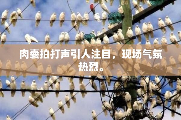 肉囊拍打声引人注目，现场气氛热烈。