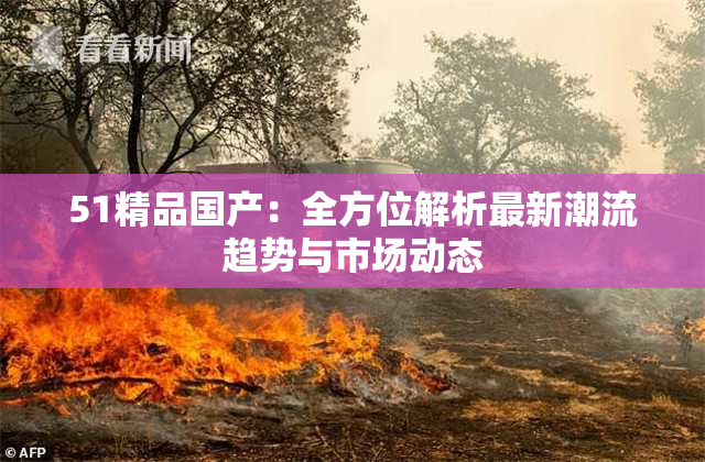 51精品国产：全方位解析最新潮流趋势与市场动态