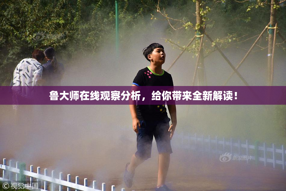 鲁大师在线观察分析，给你带来全新解读！