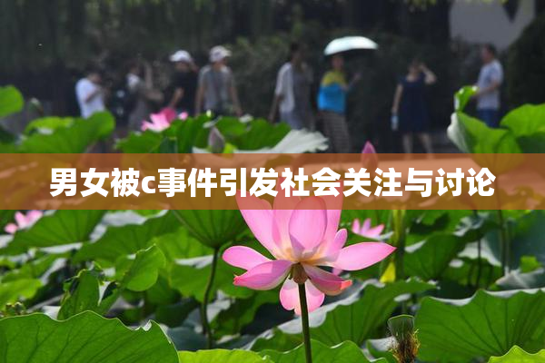 男女被c事件引发社会关注与讨论