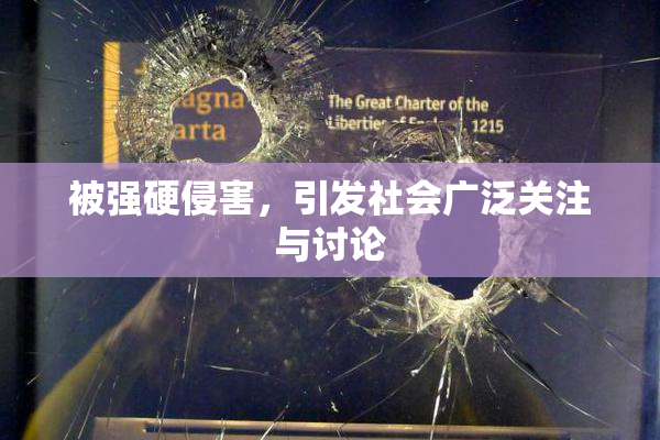 被强硬侵害，引发社会广泛关注与讨论