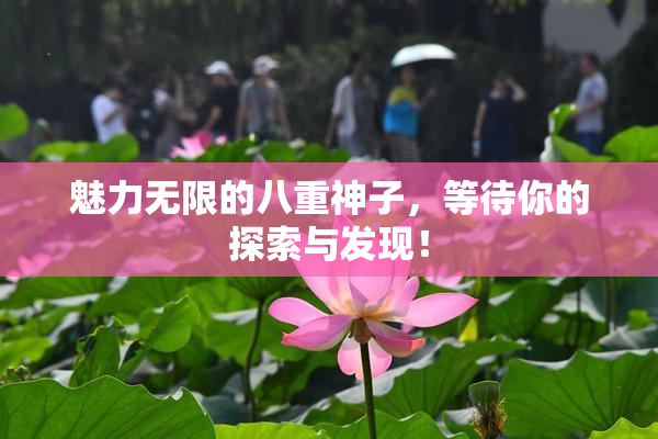 魅力无限的八重神子，等待你的探索与发现！