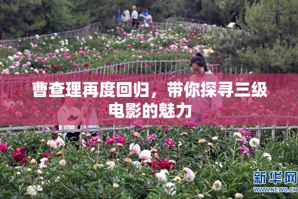 曹查理再度回归，带你探寻三级电影的魅力