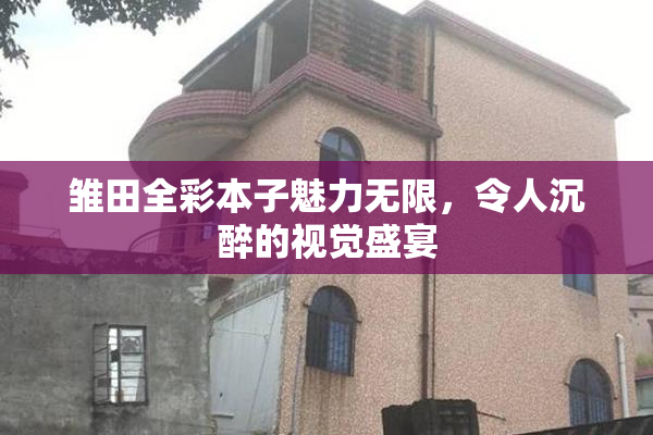 雏田全彩本子魅力无限，令人沉醉的视觉盛宴