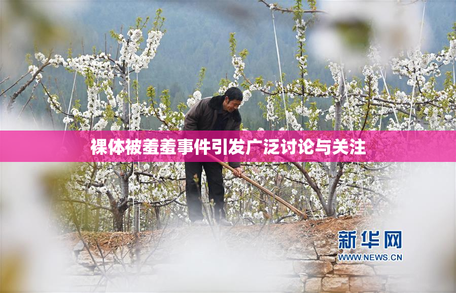 裸体被羞羞事件引发广泛讨论与关注