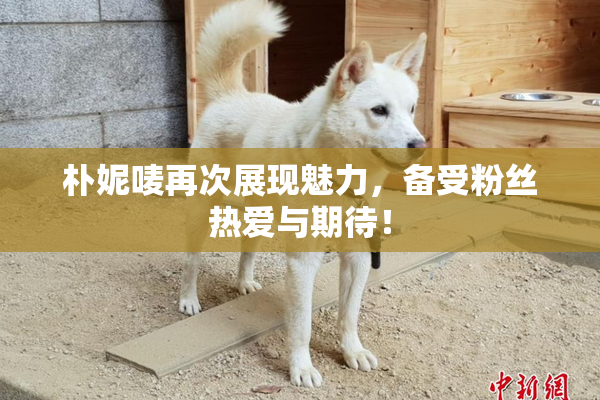 朴妮唛再次展现魅力，备受粉丝热爱与期待！